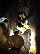 Thumbnail of photo from this article